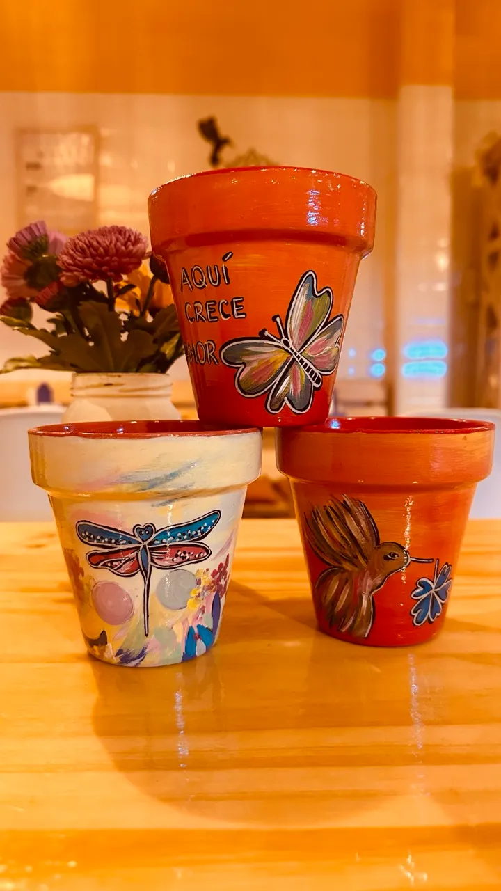 macetas de tamaño grande